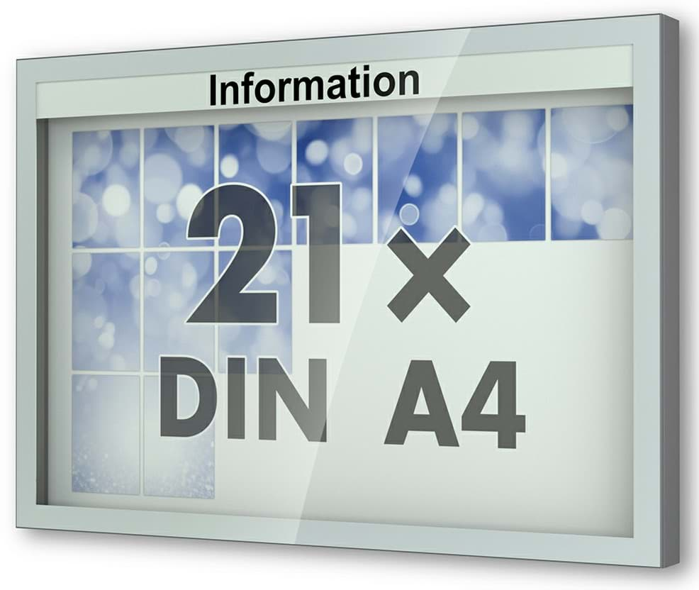 Bild von Schaukasten Vitrum 1650x1150x123 mm BxHxT